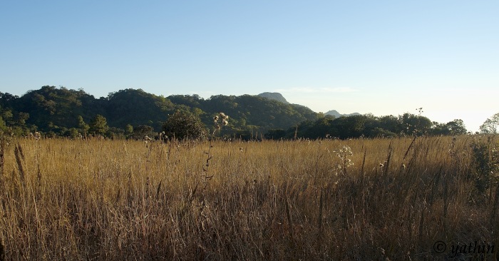 Phawngpui (Blue Mountain)
