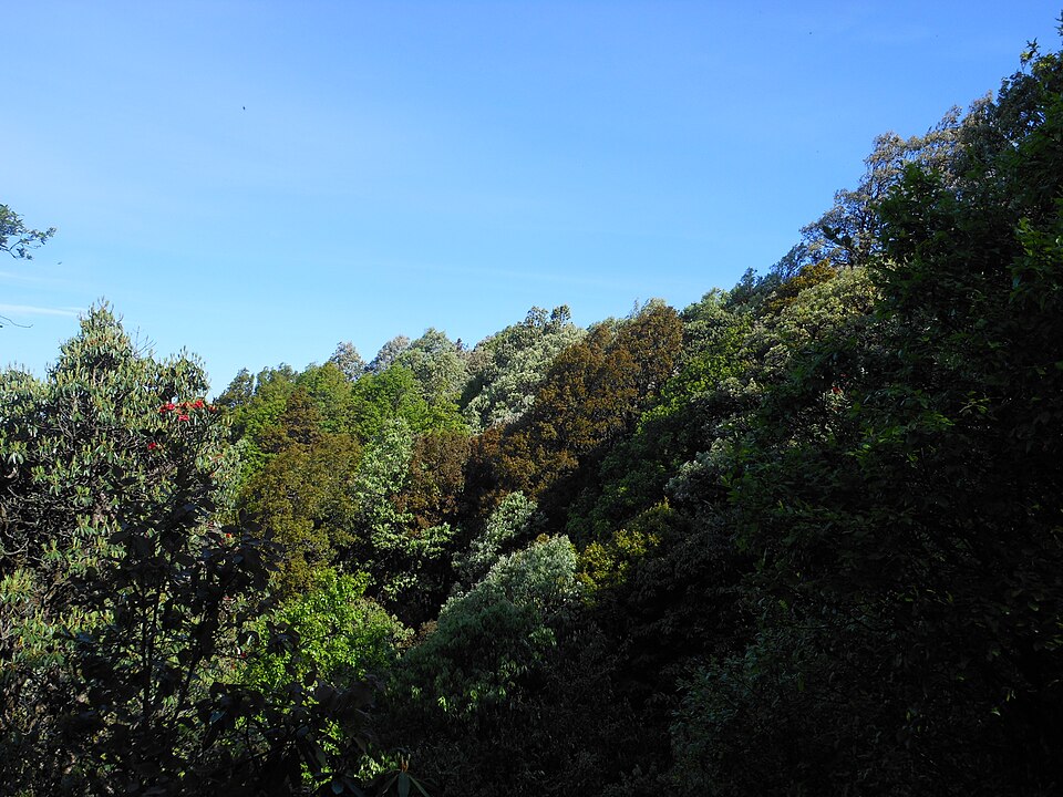 Almora and Binsar