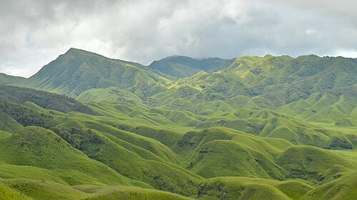 Dzukou Valley, Nagaland