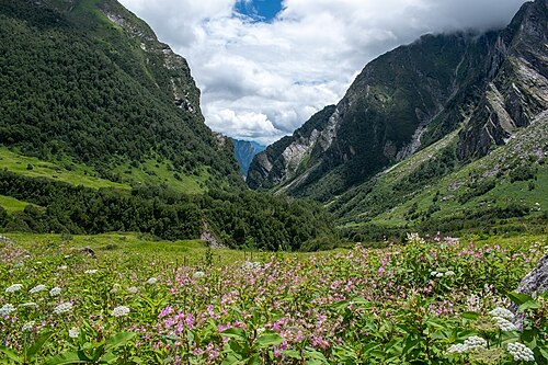 Valley of Flowers, Uttarakhand