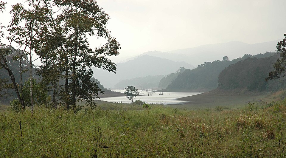 Thekkady (Periyar)