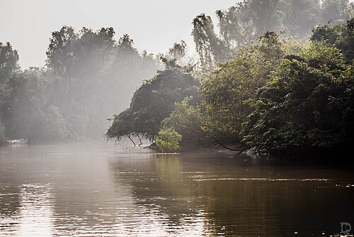 Bhitarkanika, Odisha