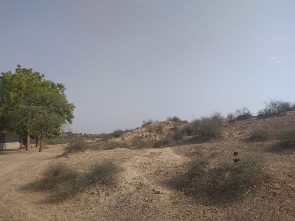 Rakhigarhi